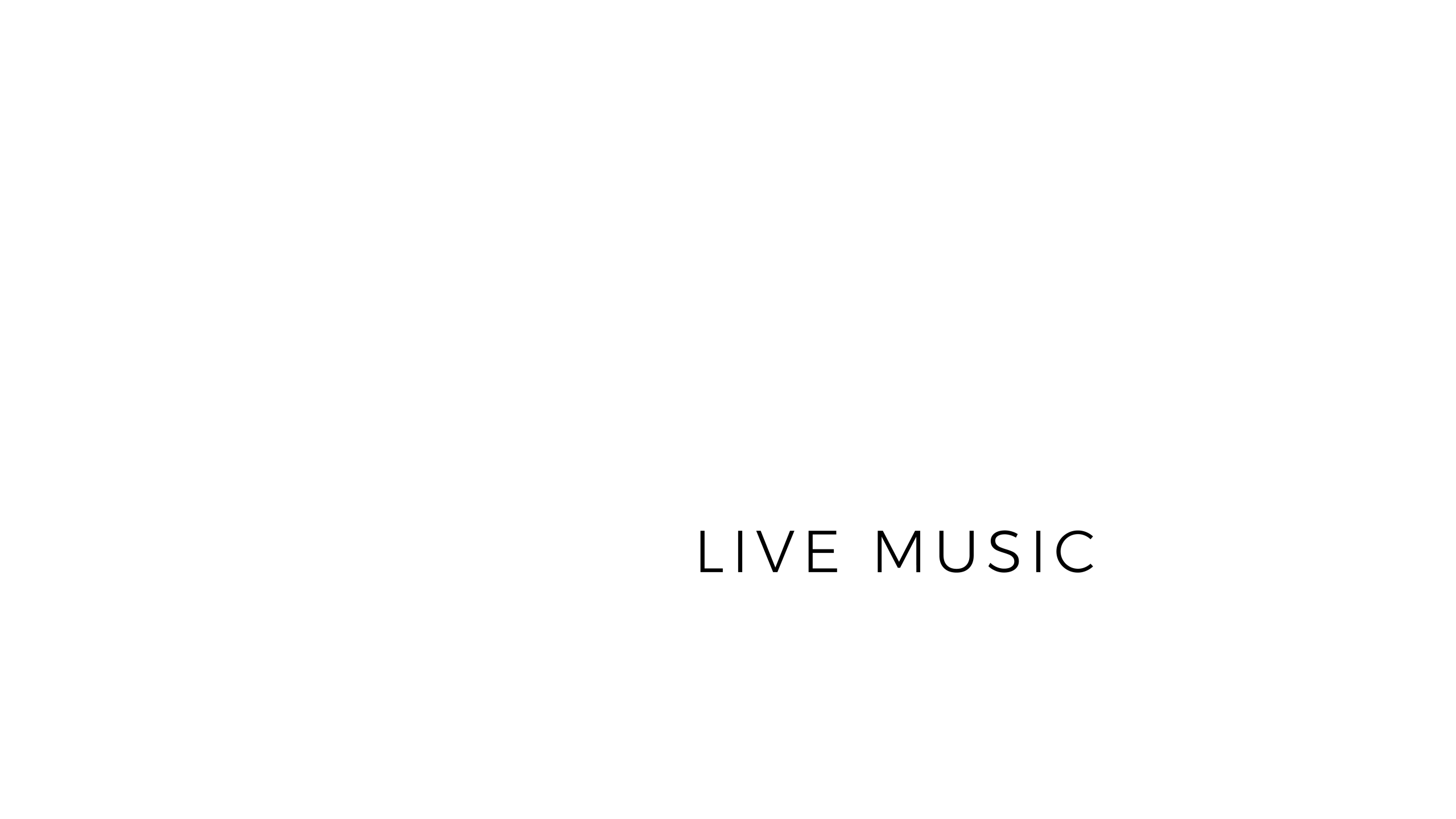 Logo association Vibrasoul Blanc